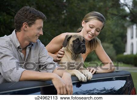 Couple and dog in back of truck View Large Photo Image Stock Image - Couple and dog in back of truck. Fotosearch
