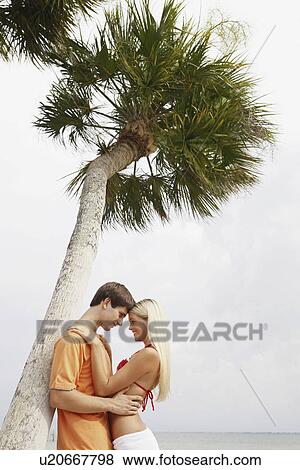 Stock Photo - Couple hugging under palm tree. Fotosearch