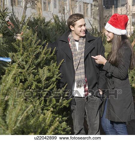 Couple shopping for Christmas tree View Large Photo Image Stock Photo - Couple shopping for Christmas tree. Fotosearch