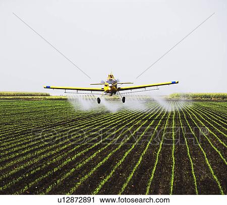 crop-duster plain over field View Large Photo Image Stock Image - crop-duster plain over field. Fotosearch