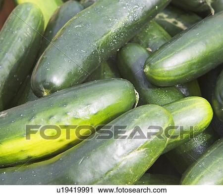 Stock Image - cucumbers, produce. Fotosearch
