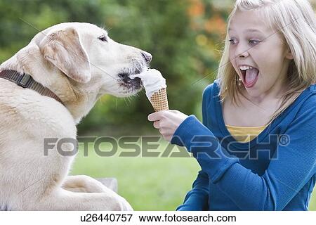 Dog eating girl’s ice cream cone View Large Photo Image Stock Photo - Dog eating girl’s ice cream cone. Fotosearch
