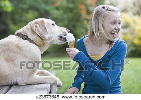 Dog eating girl’s ice cream cone View Large Photo Image Stock Photography - Dog eating girl’s ice cream cone. Fotosearch
