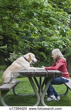Picture - Dog sitting across from girl on picnic table. Fotosearch