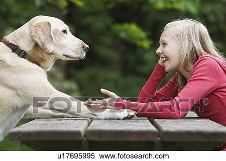 Stock Photography - Dog sitting across from girl on picnic table. Fotosearch