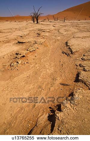 Stock Photography - Dried riverbed, Namib Desert, Namibia, Africa. Fotosearch
