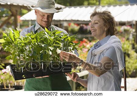 Employee helping woman buy plants View Large Photo Image Stock Image - Employee helping woman buy plants. Fotosearch