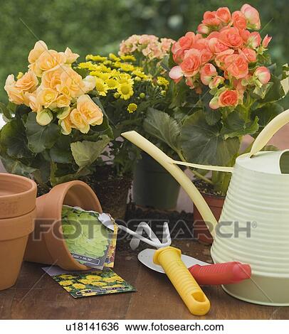 Flowers and potting supplies View Large Photo Image Stock Photograph - Flowers and potting supplies. Fotosearch