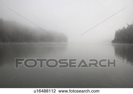 Foggy lake scene View Large Photo Image Stock Image - Foggy lake scene. Fotosearch