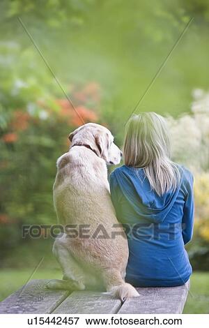 Girl and dog sitting together on picnic table View Large Photo Image Stock Photo - Girl and dog sitting together on picnic table. Fotosearch