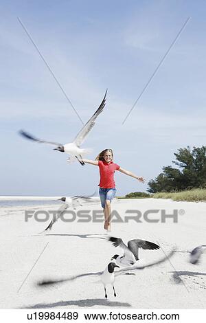 Girl chasing birds on beach View Large Photo Image Stock Photo - Girl chasing birds on beach. Fotosearch