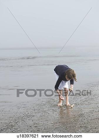 Girl finding seashells on beach View Large Photo Image Stock Image - Girl finding seashells on beach. Fotosearch
