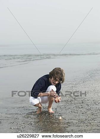 Girl finding seashells on beach View Large Photo Image Stock Photo - Girl finding seashells on beach. Fotosearch