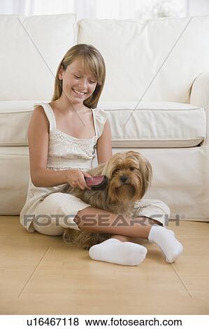 Stock Photo - Girl grooming dog. Fotosearch