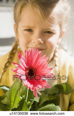 Girl holding flower View Large Photo Image Stock Photograph - Girl holding flower. Fotosearch