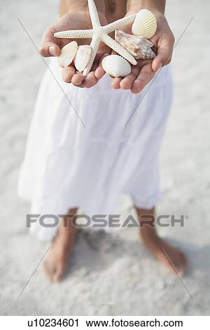 Girl on beach holding delicate starfish and shells View Large Photo Image Stock Image - Girl on beach holding delicate starfish and shells. Fotosearch