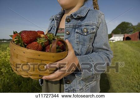 Picture - Girl picking strawberries. Fotosearch
