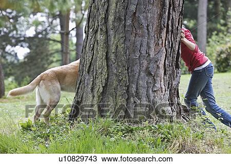 Girl playing hide and seek with dog View Large Photo Image Stock Image - Girl playing hide and seek with dog. Fotosearch