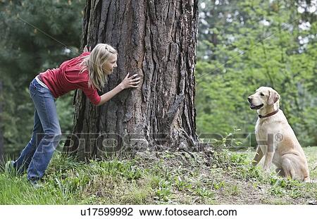 Girl playing hide and seek with dog View Large Photo Image Stock Image - Girl playing hide and seek with dog. Fotosearch