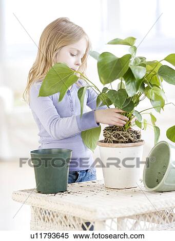Girl repotting plant View Large Photo Image Stock Photography - Girl repotting plant. Fotosearch