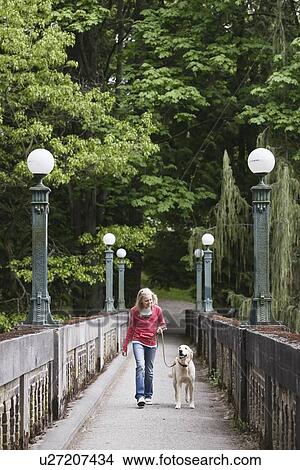 Picture - Girl walking dog across bridge. Fotosearch
