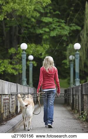 Girl walking dog across bridge View Large Photo Image Stock Photograph - Girl walking dog across bridge. Fotosearch