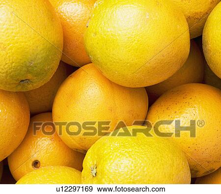 Stock Photo - grapefruits, produce. Fotosearch
