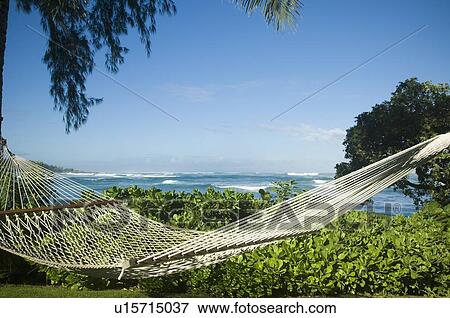 Stock Photo - Hammock with ocean in background, Oahu, Hawaii, United States. Fotosearch
