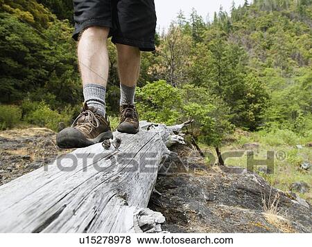 Hiker balancing on log View Large Photo Image Stock Photo - Hiker balancing on log. Fotosearch