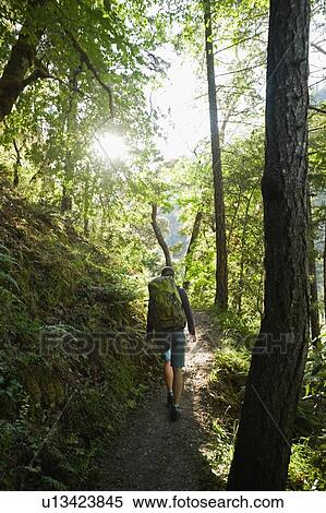 Stock Photography - Hiker on forest trail. Fotosearch