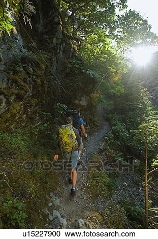 Hikers on forest trail View Large Photo Image Stock Image - Hikers on forest trail. Fotosearch