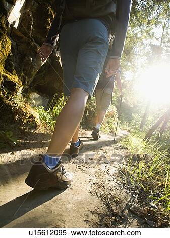 Hikers on forest trail View Large Photo Image Stock Photography - Hikers on forest trail. Fotosearch