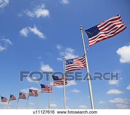Stock Photograph - Low angle view of American flags, Washington DC, United States. Fotosearch