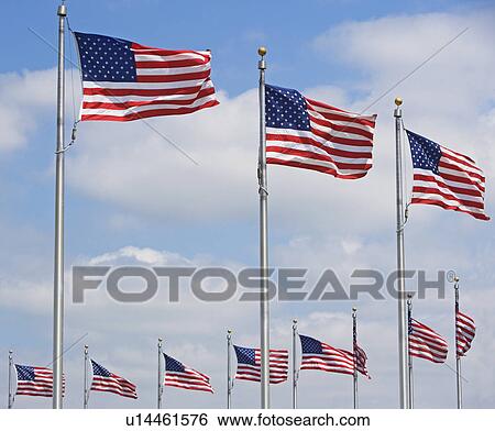 Stock Photograph - Low angle view of American flags, Washington DC, United States. Fotosearch