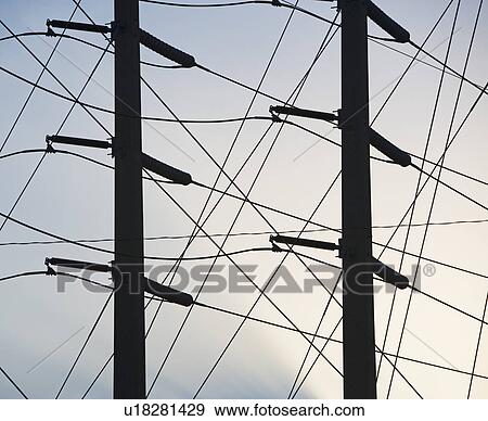 Low angle view of power lines on poles View Large Photo Image Stock Photo - Low angle view of power lines on poles. Fotosearch