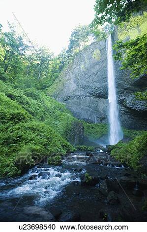 Stock Image - Lush canyon and waterfall. Fotosearch