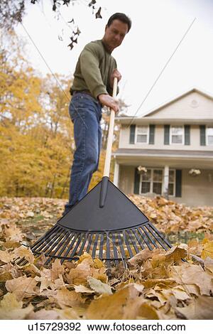 Man raking autumn leaves View Large Photo Image Stock Image - Man raking autumn leaves. Fotosearch