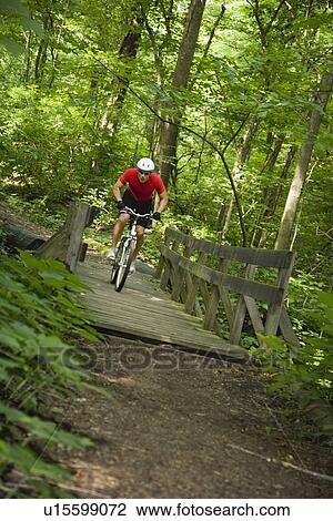 Man riding mountain bike in woods View Large Photo Image Stock Image - Man riding mountain bike in woods. Fotosearch