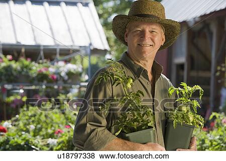 Man shopping for plants View Large Photo Image Stock Photo - Man shopping for plants. Fotosearch