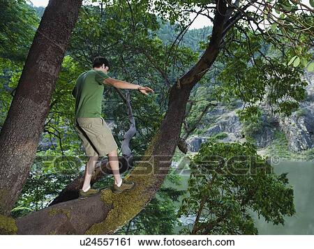 Stock Image - Man walking out on large tree branch. Fotosearch