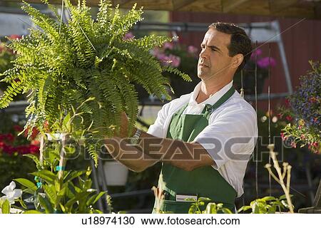 Stock Image - Man working in garden center. Fotosearch
