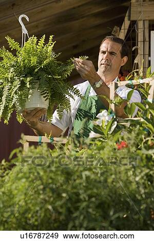 Man working in garden center View Large Photo Image Stock Photo - Man working in garden center. Fotosearch