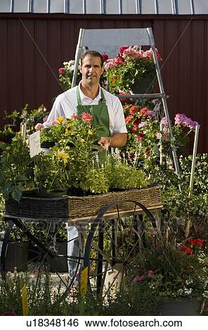 Man working in garden center View Large Photo Image Stock Photograph - Man working in garden center. Fotosearch