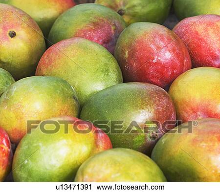 mangos, produce View Large Photo Image Stock Image - mangos, produce. Fotosearch