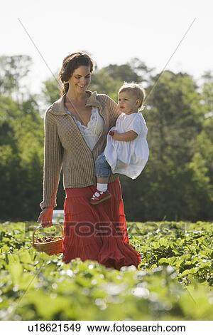 Mother and baby daughter picking strawberries View Large Photo Image Stock Photo - Mother and baby daughter picking strawberries. Fotosearch