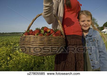 Mother and daughter picking strawberries View Large Photo Image Stock Photography - Mother and daughter picking strawberries. Fotosearch