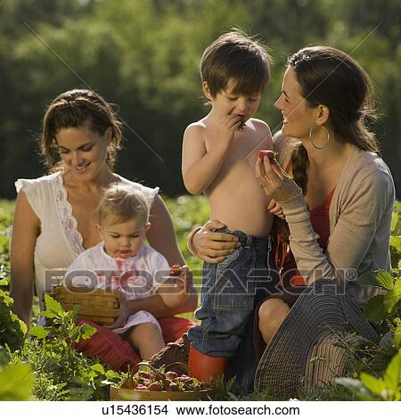 Mothers and children picking strawberries View Large Photo Image Picture - Mothers and children picking strawberries. Fotosearch