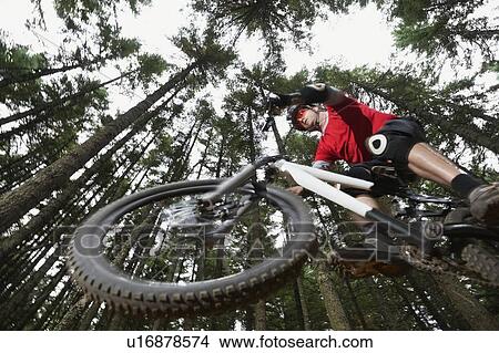 Picture - Mountain biker in mid-air in forest. Fotosearch