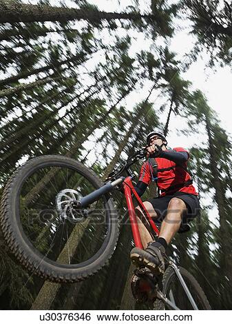 Stock Photograph - Mountain biker in mid-air in forest. Fotosearch