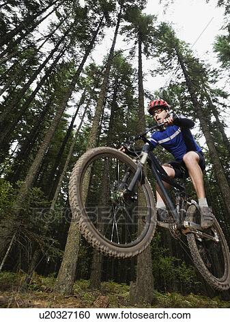 Mountain biker in mid-air on forest trail View Large Photo Image Stock Image - Mountain biker in mid-air on forest trail. Fotosearch